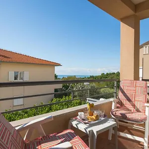 https://apartment-carpe-diem-premantura.in-istria.net